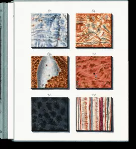 SEPP. THE BOOK OF MARBLE SEPP. THE BOOK OF MARBLE