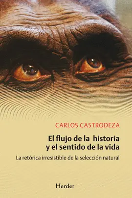 EL FLUJO DE LA HISTORIA Y EL SENTIDO DE LA VIDA