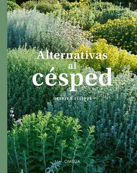 ALTERNATIVAS AL CESPED ALTERNATIVAS AL CESPED