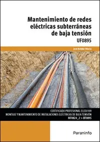MANTENIMIENTO DE REDES ELECTRICAS SUBTERRANEAS BAJA TENSION