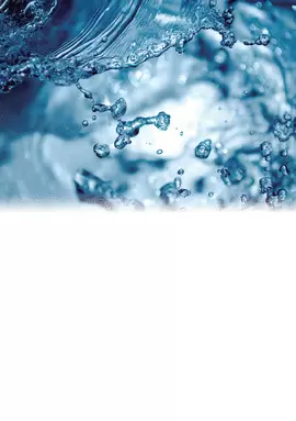 EL SÍ CRISTIANO A LA VIDA Y AL AMOR