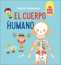 CUERPO HUMANO CUERPO HUMANO