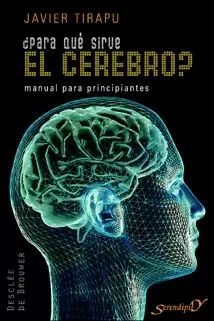 +PARA QUE SIRVE EL CEREBRO?