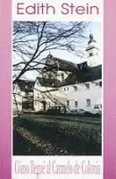 COMO LLEGUÉ AL CARMELO DE COLONIA