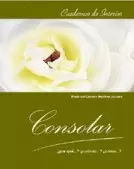 CONSOLAR ¿POR QUÉ? ¿CUÁNDO? ¿CÓMO?