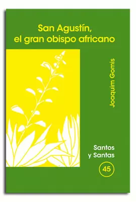 SAN AGUSTÍN, EL GRAN OBISPO AFRICANO