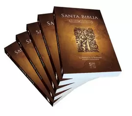 BIBLIA DE LA REFORMA