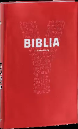Y-BIBLIA