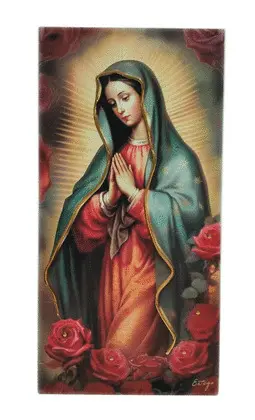CUADRO VIRGEN GUADALUPE