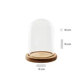 FANAL CRISTAL ,BASE REDONDA MADERA CLARA