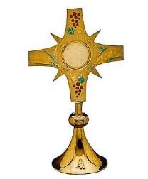 CUSTODIA 76889